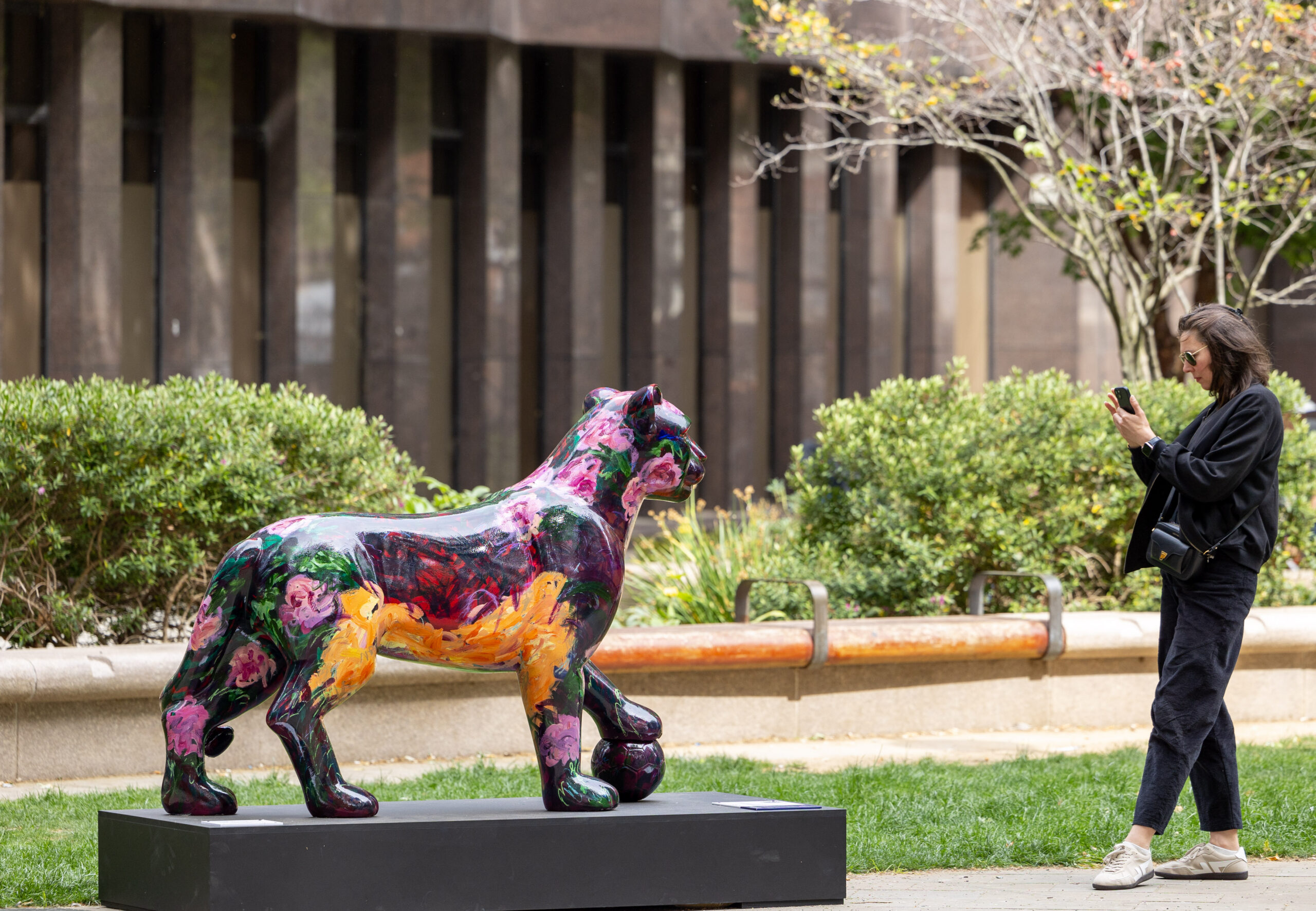 A woman photographs a vibrant, multicolored lioness sculpture in a garden setting with greenery and a building facade in the background.